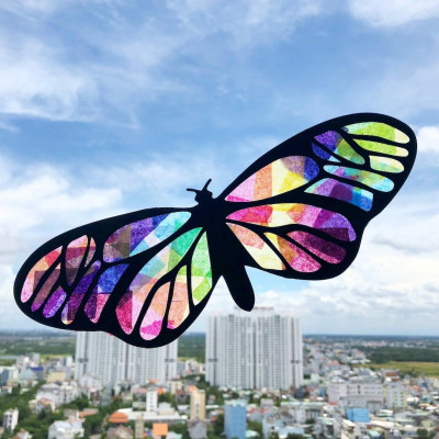 Bộ Thủ Công 6 Bươm Bướm Đón Nắng