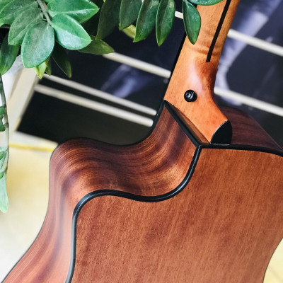 Đàn Guitar Acoustic Rosen G15