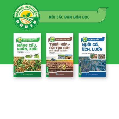  Kỹ Thuật Trồng, Chăm Sóc Cho Năng Xuất Cao Mãng Cầu, Nhãn, Xoài (Tái bản 2025)