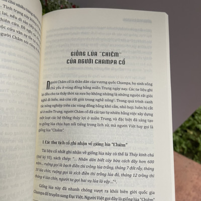 NAGARA CHAMPA – NHỮNG PHÁC THẢO VỀ LỊCH SỬ VÀ NỀN VĂN MINH – Đổng Thành Danh – Tri Thức Trẻ Books - NXB Khoa Học Xã Hội.