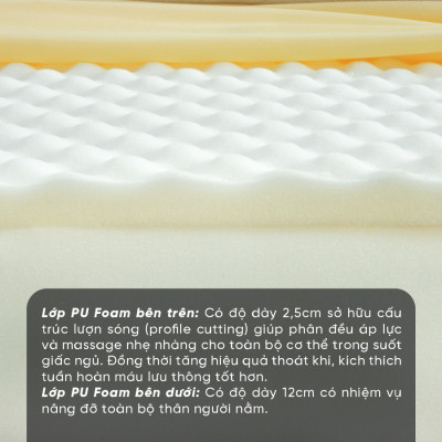 Nệm Foam TATANA Massage Advanced, Cấu Trúc Lượn Sóng Duy Trì Tư Thế Nằm, Nâng Đỡ Cơ Thề Hoàn Hảo - Bảo hành 10 năm.