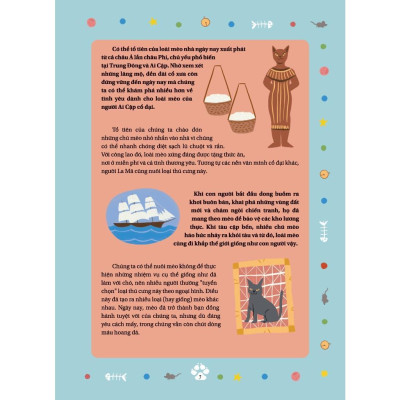 Sách - Câu Chuyện Về Loài Mèo - Penelope Rich - Tân Việt Books