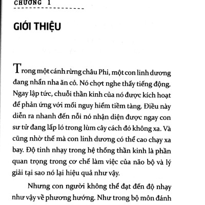 6 Chiếc Mũ Tư Duy (Tái Bản 2023)