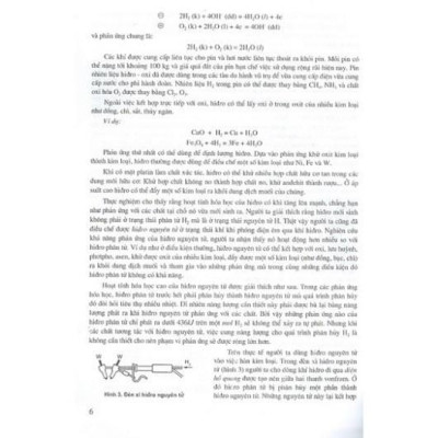 Sách - Hóa Học Vô Cơ Cơ Bản Tập 2 - Các Nguyên Tố Hóa Học Điển Hình - NXB Giáo Dục - HV