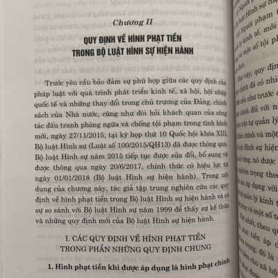 Hình Phạt Tiền Trong Pháp Luật Hình Sự Việt Nam Và Thực Tiễn Áp Dụng (Sách Chuyên Khảo)