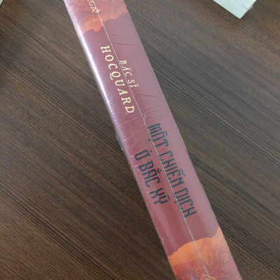 MỘT CHIẾN DỊCH Ở BẮC KỲ