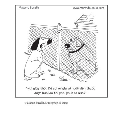 Nghĩ Như Một Chú Chó - Loài Chó Dạy Ta Sống Hạnh Phúc Và Thành Công