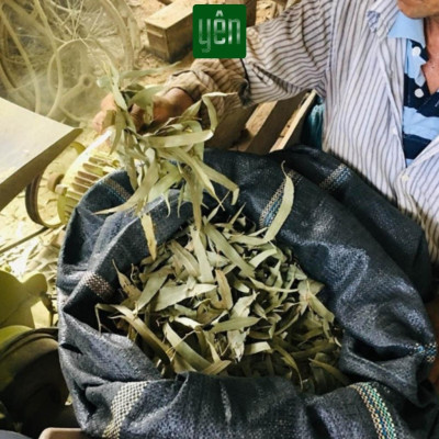 Nhang Thảo Mộc 1kg Giá Sỉ Quế Khuynh Diệp Hương Bài Loại 23-30-40cm 800-700-500 Thanh Yên Tự Nhiên