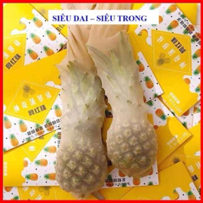 Quần tất da chân quả Dứa siêu dai hót hít