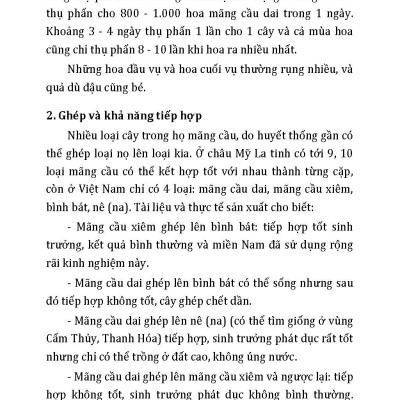  Kỹ Thuật Trồng, Chăm Sóc Cho Năng Xuất Cao Mãng Cầu, Nhãn, Xoài (Tái bản 2025)