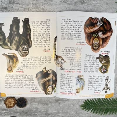 Bách khoa thư về thế giới động vật - Bìa cứng