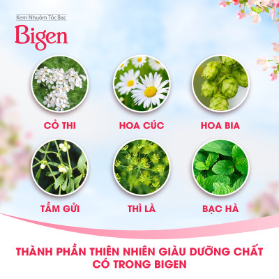 Thuốc nhuộm dưỡng tóc phủ bạc thảo dược Bigen Speedy Thương hiệu Nhật Bản 80ml dạng kem