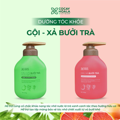 Dầu Gội Xả Hữu Cơ Bưởi Trà Cỏ Cây Hoa Lá VIETNAM, Dưỡng Tóc Chắc Khỏe, Mềm Mượt Tự Nhiên- Dung Tích 350gr