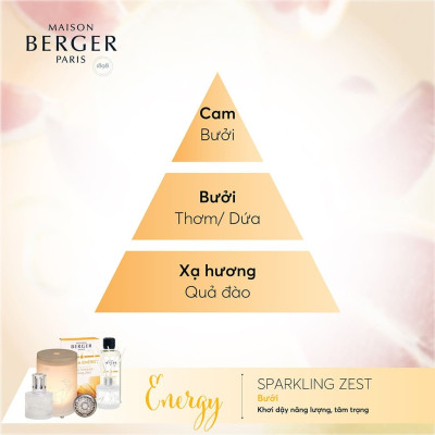 Maison Berger - Bộ kẹp tinh dầu xe hơi Aroma Energy - 2 món