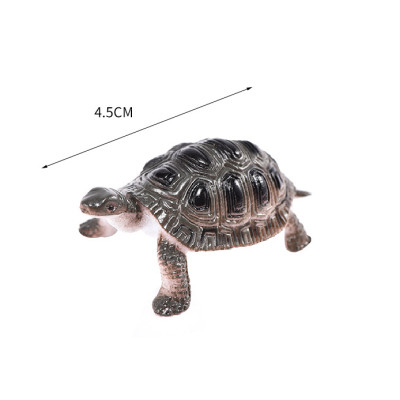 Đồ chơi 12 con Rùa đáng yêu Natural Turtle nhựa dễ thương cho bé