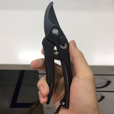 Kéo Cắt Tỉa Cây Cảnh 