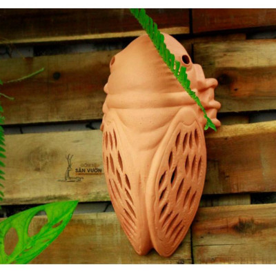 Decor Gốm Đất Nung Trang Trí Hình CON VE (Cicada Terracotta decoration) size 25x15cm