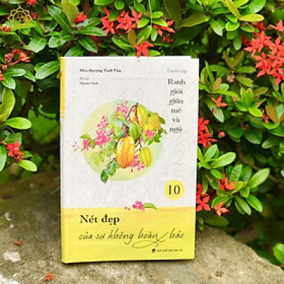 Sách - Nét Đẹp Của Sự Không Hoàn Hảo - Tập 10 - Tuyển Tập Ranh Giới Giữa Mê Và Ngộ - Đại sư Tinh Vân - Vĩnh Nghiêm Books