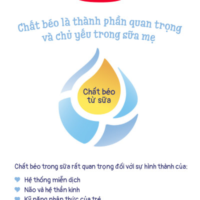 Combo 2 Sữa bột công thức Semper Bifidus số 2 400g/hộp