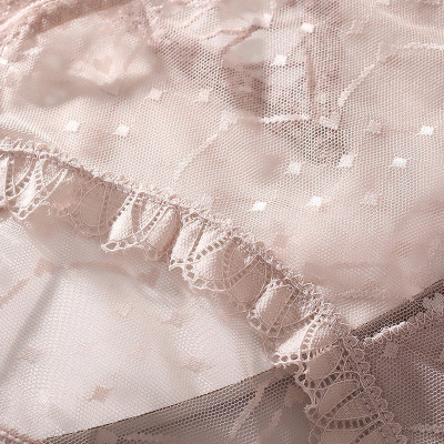 Combo 5 Quần Lót Nữ Ren Xuyên Thấu 1610 – Ren Mỏng Thoáng Khí, Co Giãn 4 Chiều