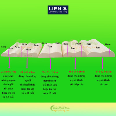 Gối Cao Su Liên Á Contour , Chống Ngáy - Cao Su Thiên Nhiên 100%