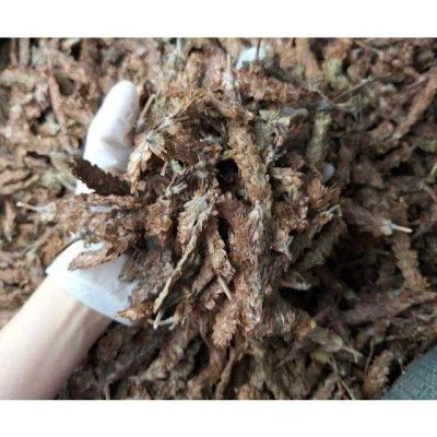 cây hạ khô thảo bắc khô 1kg