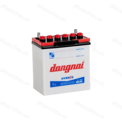 Bình Ắc Quy 12V-35Ah, Ắc Quy Dong Nai NS40 (S)