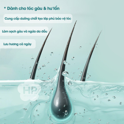 Dầu Gội Xả 2 Trong 1 Ngăn Ngừa Gàu Và Phục Hồi Tóc Hư Tổn Salon Link Extra Amino Shampoo (1000 mL)