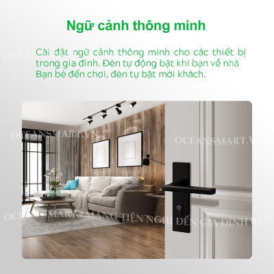 Công Tắc Cảm Ứng, Công Tắc Wifi Thông Minh Datic - DTSW