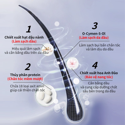 Combo Dầu Gội Kiêm Dầu Giảm Bết + Dâu Xả Dưỡng Ẩm Mêm Mượt Tóc Pharma 21 Nhật Bản - Chai 600ml