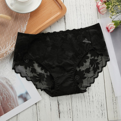 COMBO 5 QUẦN BÔNG ÉP HOA CÚC SEXY 817