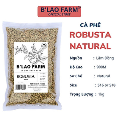 Cà phê nhân xanh ROBUSTA NATURAL B