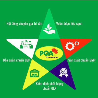 Tia Sữa PQA Giúp Thanh Nhiệt Giải Độc Và Giảm Triệu Chứng Của Tắc Sữa Ở Phụ Nữ Đang Cho Con Bú Hộp 10 Ống