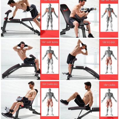 Ghế tập gym đa năng kèm dây kéo đàn hồi KK022D, tải trọng tối đa 120kg, có thể gập gọn dễ dàng