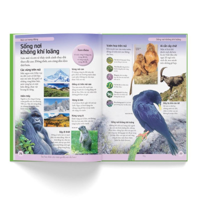 Sách - Bách khoa cho trẻ em – Bách khoa tự nhiên - Bìa cứng - Đông A