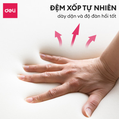 Ghế Xoay Văn Phòng Công Thái Học Cao Cấp Có Ngả Lưng 110 Độ Lưng Cánh Bướm Deli - Tựa Lưng Điều Chỉnh Được - Hỗ Trợ Đốt Sống Cổ Tối Ưu Tư Thế Ngồi - Ghế Giám Đốc Bảo Hành 3 Năm