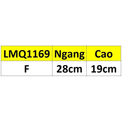 QUẦN TAM GIÁC LƯỚI VIỀN REN LMQ1169