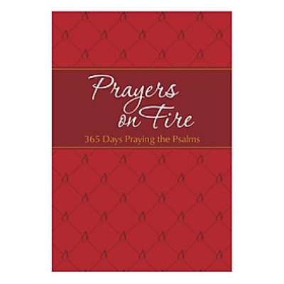 Prayers On Fire: 365 Days Praying The Ps