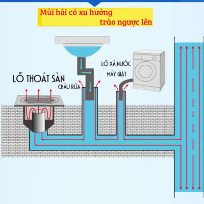 Bộ thoát nước máy giặt, chậu rửa, thoát nước thải kiêm chống mùi hôi, ngăn côn trùng trào ngược, cổ xoay 360 độ, loại đứng có khe 2 đường thoát Minh House