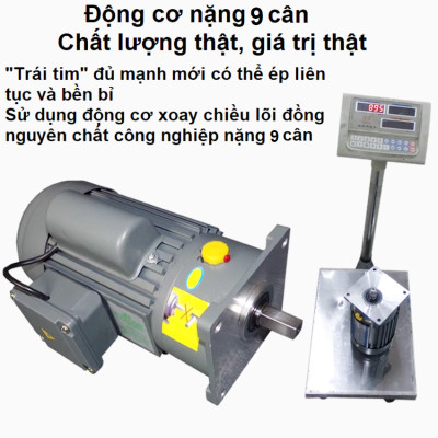 Máy ép dầu ăn thực vật chuyên nghiệp dùng trong gia đình, hộ kinh doanh, nhà hàng, khách sạn. Thương hiệu Mỹ cao cấp Septree - S8. HÀNG CHÍNH HÃNG