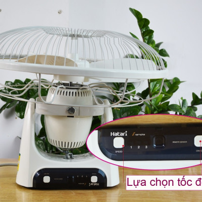 Quạt đảo trần Thái Lan Hatari HT-C16R1 - Hàng nhập khẩu (có điều khiển)