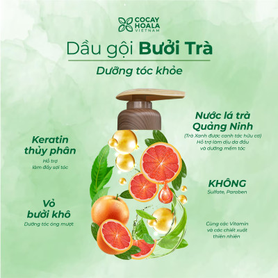 Dầu Gội Xả Hữu Cơ Bưởi Trà Cỏ Cây Hoa Lá VIETNAM, Dưỡng Tóc Chắc Khỏe, Mềm Mượt Tự Nhiên- Dung Tích 350gr
