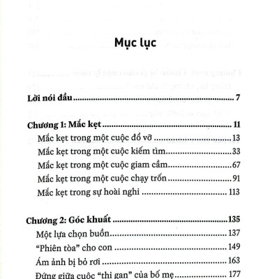Chân Dung Của Ly Hôn - Cha, Mẹ Và Con: Hạnh Phúc Nào Sau Cuộc Đổ Vỡ?