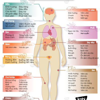 Tinh Dầu Oải Hương KOBI 30ml nguyên chất tặng kèm Vỏ lọ treo khuếch tán tinh dầu siêu tiện dụng
