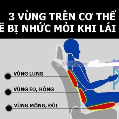 Tấm đệm lót ghế ôtô bằng hạt gỗ thông cao cấp 
