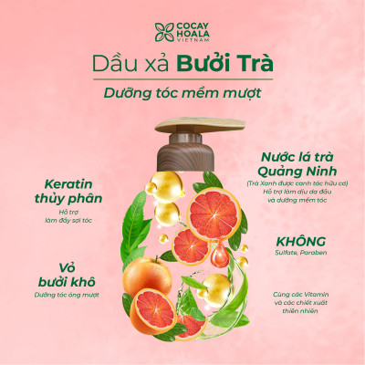 Dầu Gội Xả Hữu Cơ Bưởi Trà Cỏ Cây Hoa Lá VIETNAM, Dưỡng Tóc Chắc Khỏe, Mềm Mượt Tự Nhiên- Dung Tích 350gr