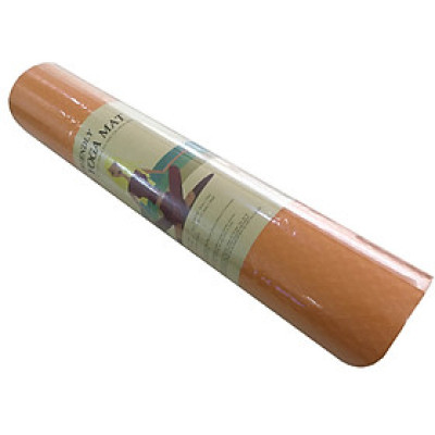 Thảm Tập Yoga Eco Friendly TPE 6mm 2 Lớp Tặng Kèm Túi Đựng Thảm