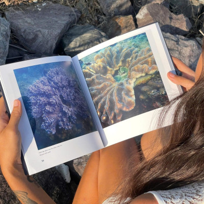 (Sách Song Ngữ) KHÁM PHÁ VIỆT NAM XANH: HÀNH TINH BIỂN - Khám Phá Hệ Sinh Thái Đầy Màu Sắc Dưới Đại Dương - Phạm Thanh Kiều Trang - Alpha Books