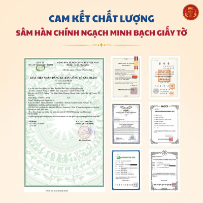Bột thái cực sâm (Taekuk Insam Powder) 100% (100g x 3)-4mg/g – Daedong