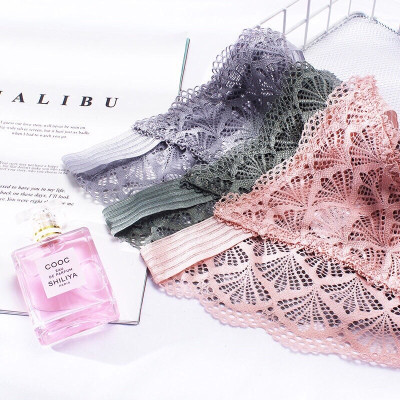 Combo 5 Quần Lót Nữ 2 Dây Ren Hình Cánh Quạt Cao Cấp 6620 – Sexy, Thoáng Mát, Co Giãn 4 Chiều